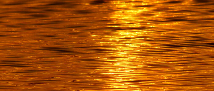 reflection-of-sunset-on-the-lake-2026-03-26-22-56-16-utc